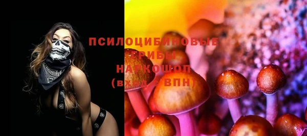 таблы Алексеевка